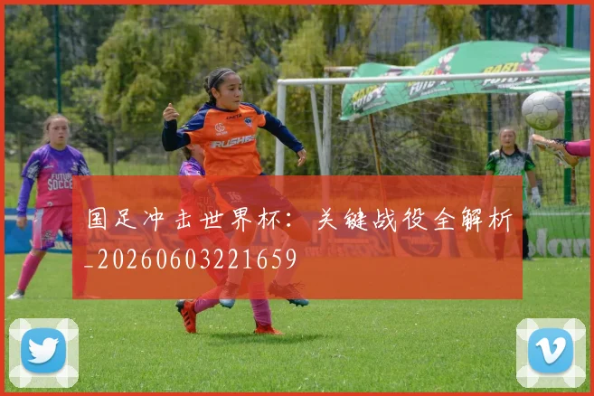 国足冲击世界杯：关键战役全解析_20260603221659